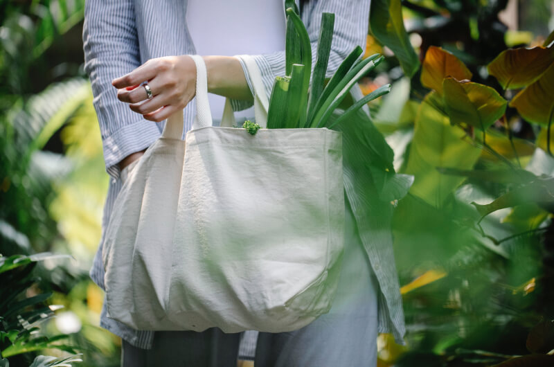 Alimentos frescos para una alimentación saludable